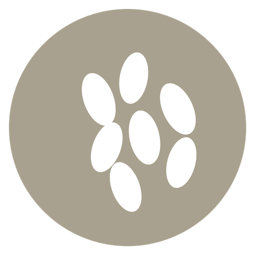Granos de sésamo